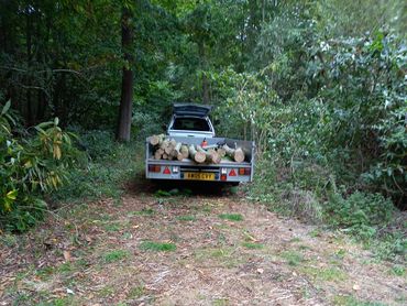 Timber being extracted from the wood