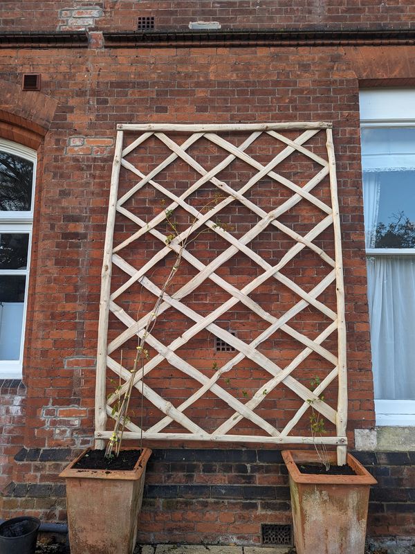 Large garden trellis