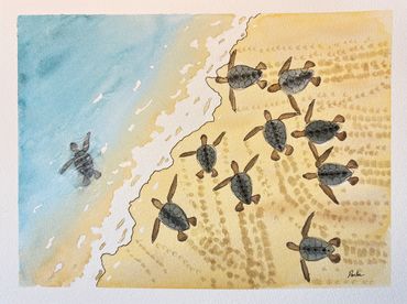 Watercolor Painting of Newly Hatched Sea Turtles