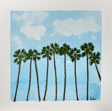 Row of Mexican Fan Palms