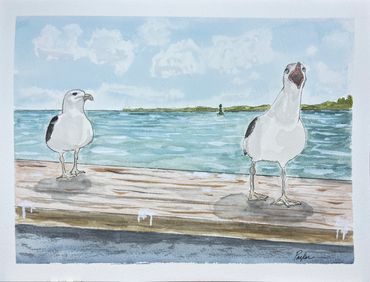 Obnoxious Seagull