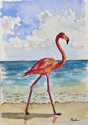 Florida Flamingo on a Beach