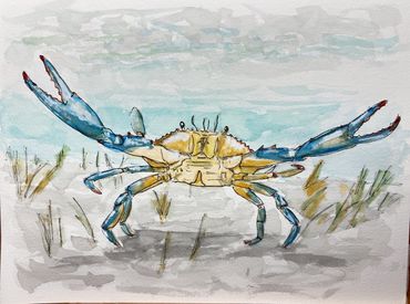 Watercolor painting of a Blue Crab