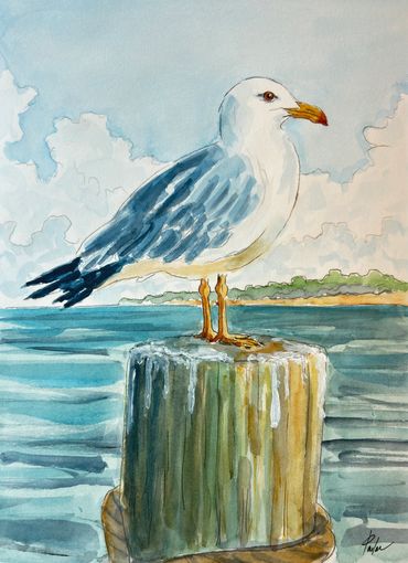 Seagull perched on piling