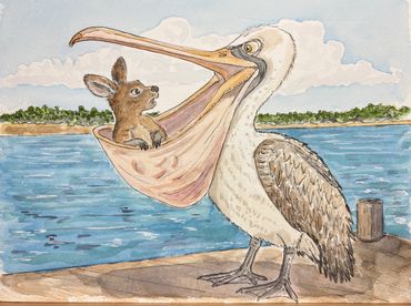 Kangaroo in a Pelican's Pouch - Watercolor Painting