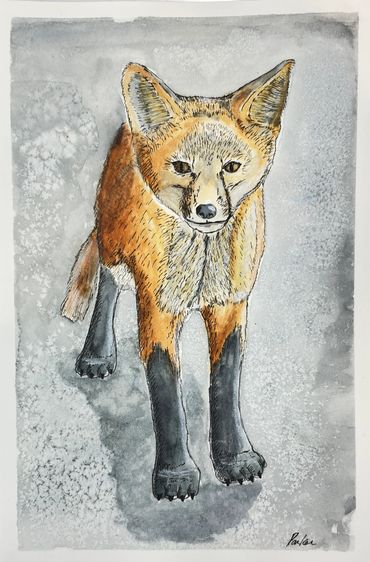 Watercolor painting of a fox standing on a textured gray background.