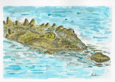 AVAILABLE: ORIGINAL & GICLEE PRINT