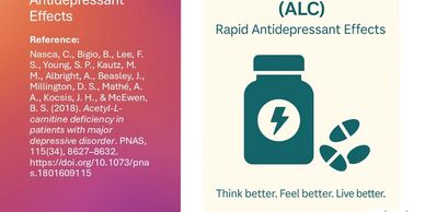 l carnitine mental health Mental Health Supplements