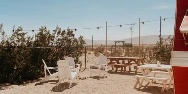 Picnic benches