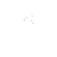 coton-co.com