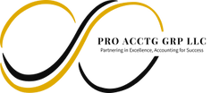 Pro Acctg Grp