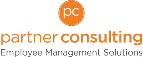 partner consulting