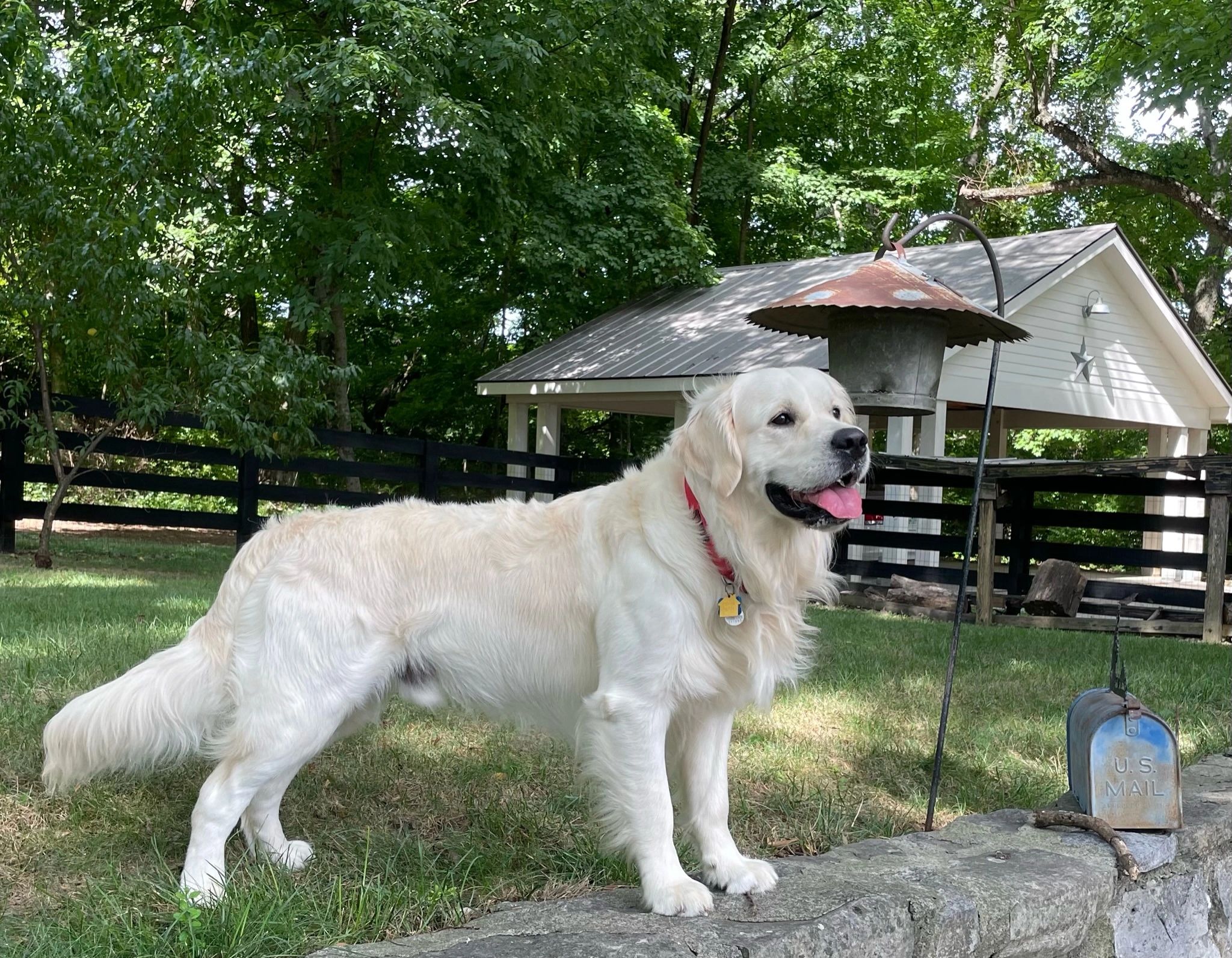 Sir Jackson of Sewanee
