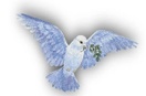 Divine Favor Home Care Agency Inc.