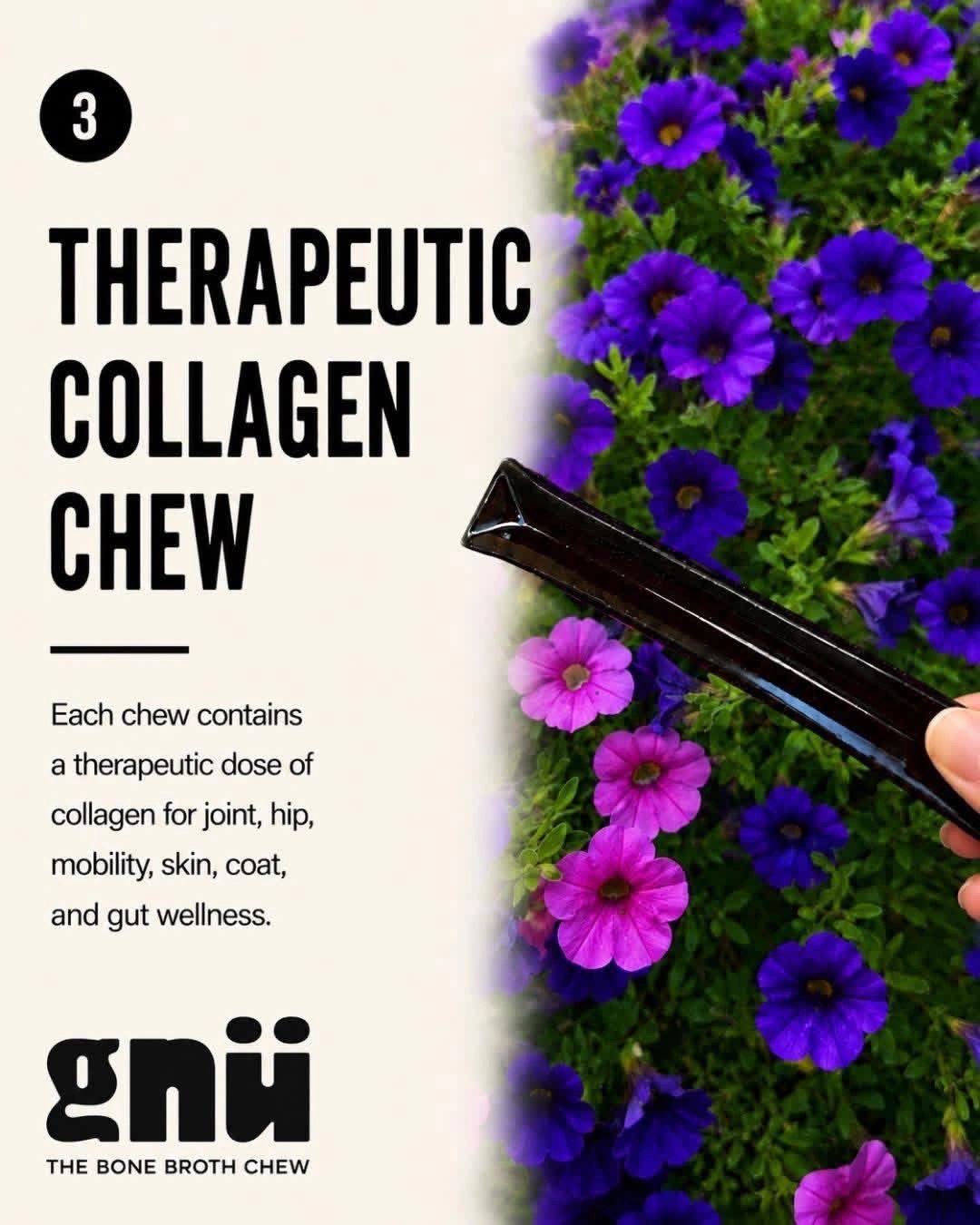 Therapeutic collagen chew for joint and skin wellness.