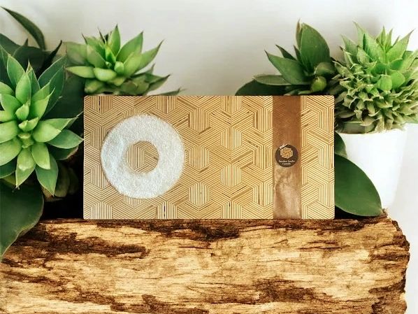Decorative wooden box with geometric patterns surrounded by green succulents.