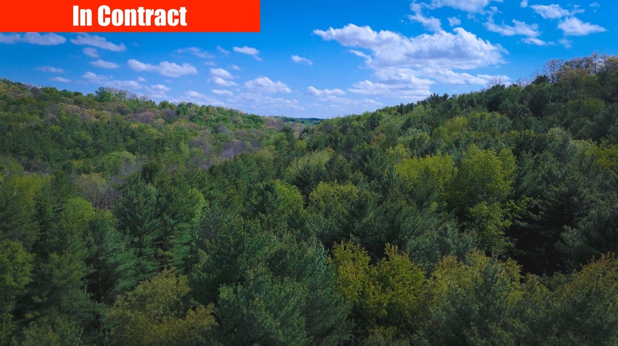 Lush green forest landscape under a blue sky with 'In Contract' text.