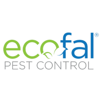 Pest Control ECOFAL S.A. de C.V.