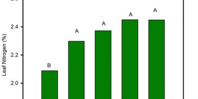 Bar chart showing leaf nitrogen percentages with significant differences.
