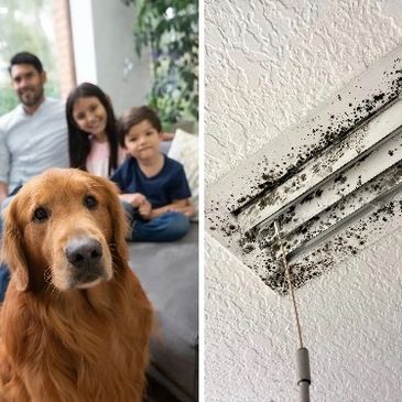 Family with dog and moldy ceiling vent.