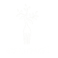 Comewell Foods