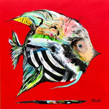 Gros poisson coloré sur fond rouge