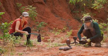 Matej and Zuzana working with black-necked spitting cobra. Rhett Cutrell, Fornever Productions