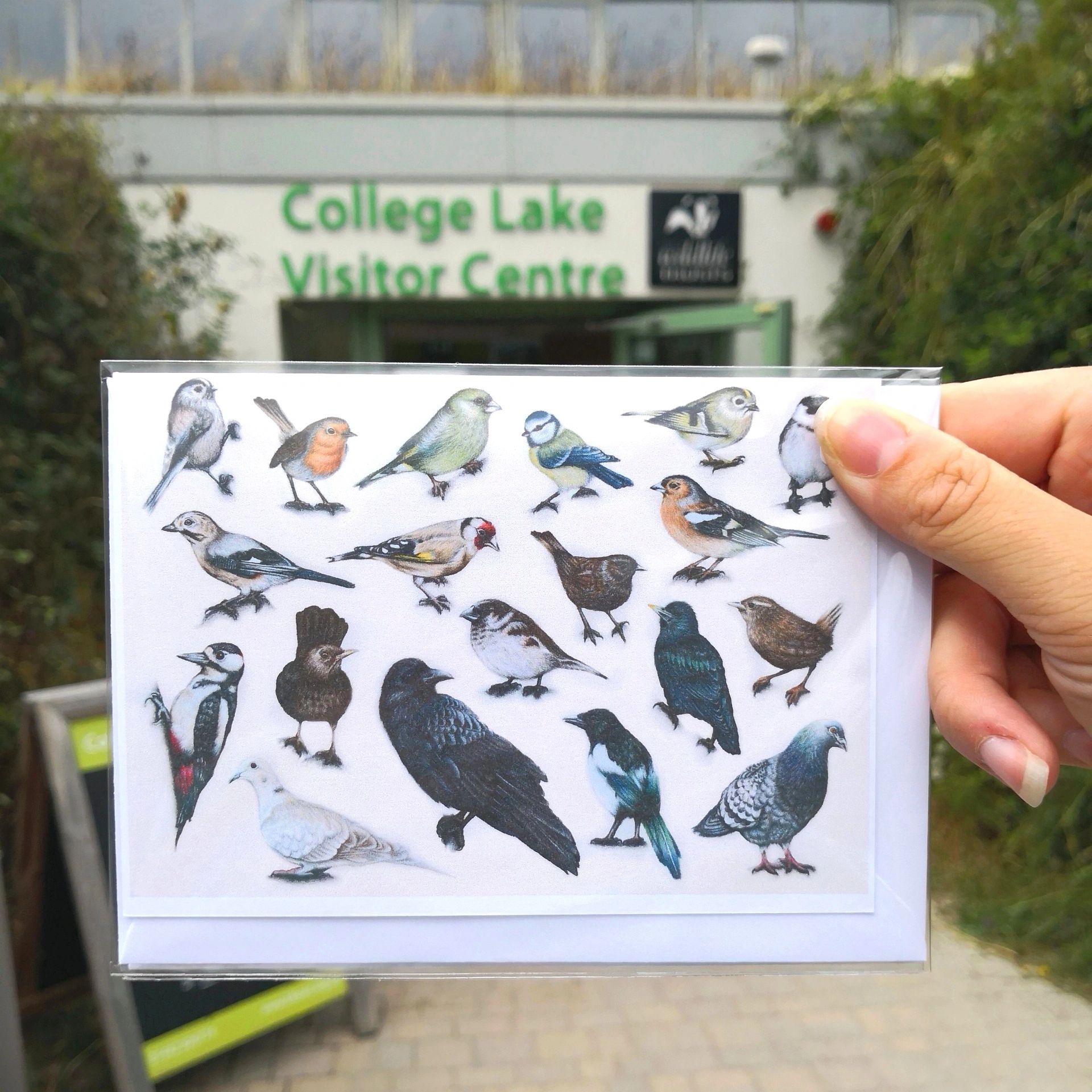 Hand holds bird identification chart outside College Lake Visitor Centre.