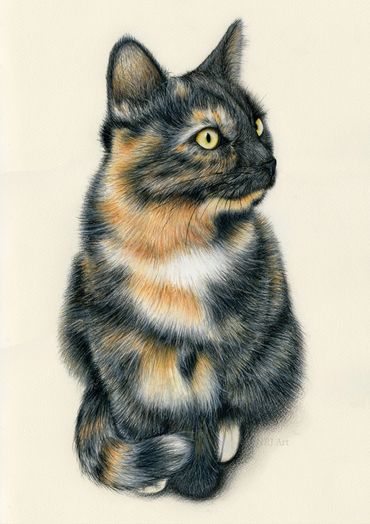 Cat drawing