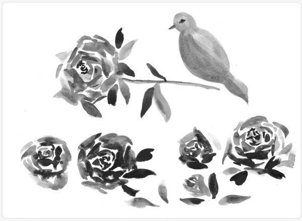 A dove hovers over roses in symbolism of peace and love, remembrance and clarity. 