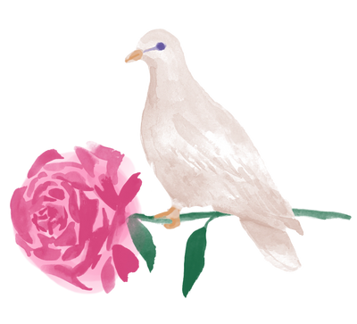 A DOVE IS PERCHED ON A ROSE