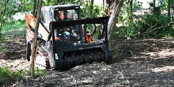 Dirt Lion Forestry Mulching