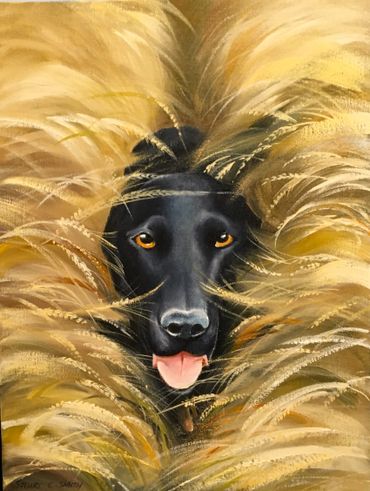 Painting of a black dog peeking through golden tall grass.