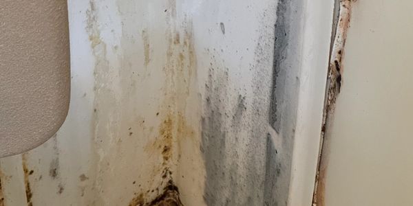Mold in bathroom 