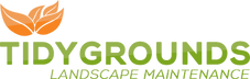 TidyGrounds
