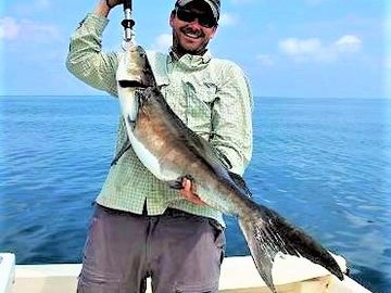 Cobia caught along the Crystal Coast, Morehead City, Beaufort area of North Carolina