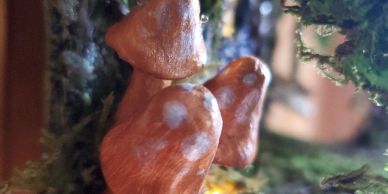 Close-up of orange mushrooms with white spots growing on a tree.