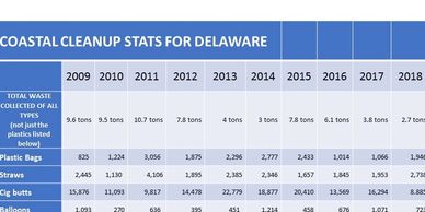 Delaware's Plastic Carryout Bag Ban - DNREC