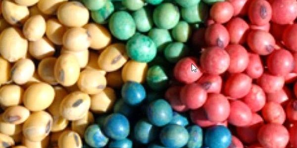 Colorful assorted beads or seeds grouped by color.