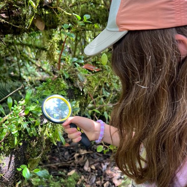 Niña examina plantas con lupa en el bosque.