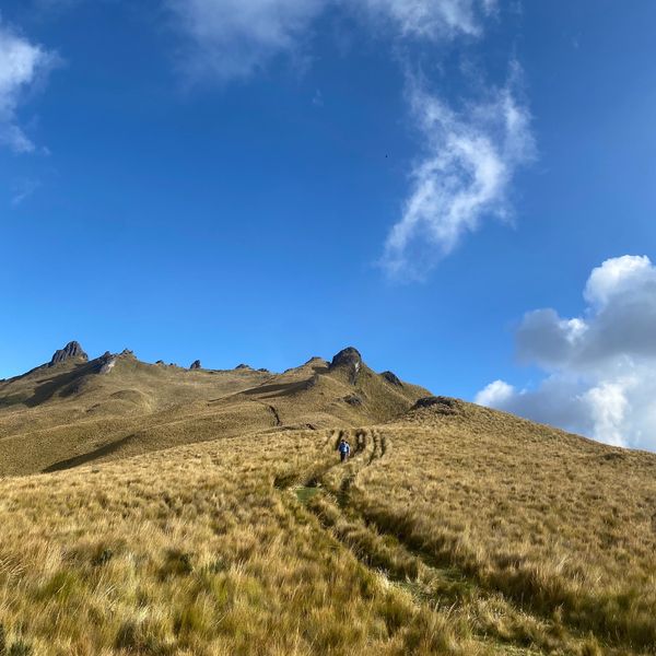 Sendero en colina con cielo azul y persona caminando.