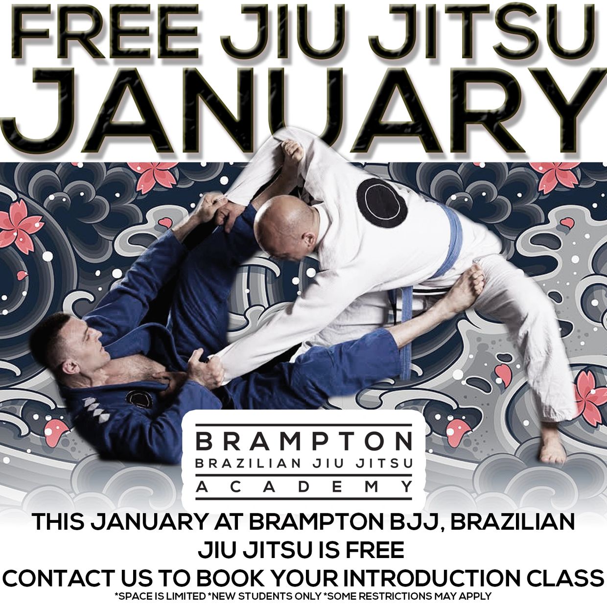 Brampton BJJ, Brazilian Jiu Jitsu, Free bjj classes january, neo bjj, martial arts, mississauga