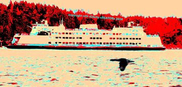 heron flying past Wa State Ferry in a Red White and Blue Motif 
