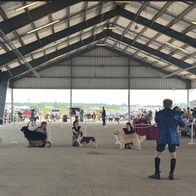Dog show in a large covered arena with handlers and dogs.