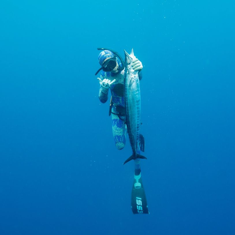 Great day of freedive spearfishing in the blue waters off Jaco, Costa Rica. Bringing in a wahoo. 