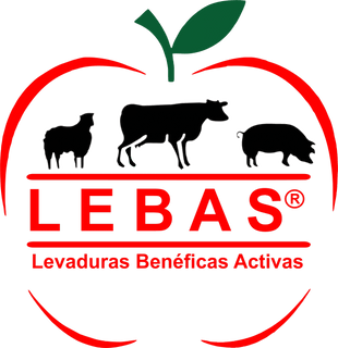 LEBAS