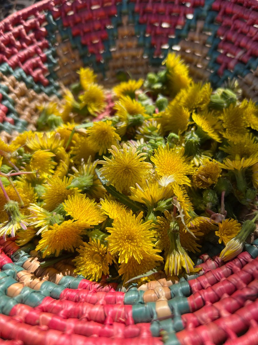 Dandelion Flower Essence