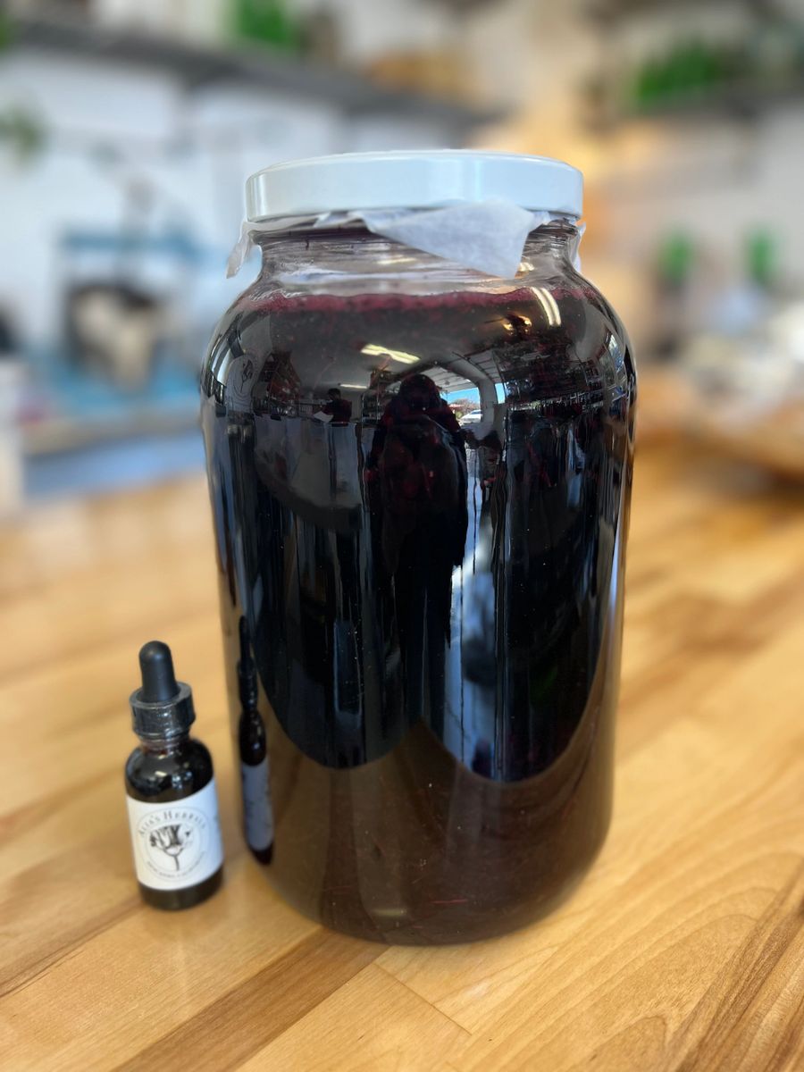 Bilberry Tincture