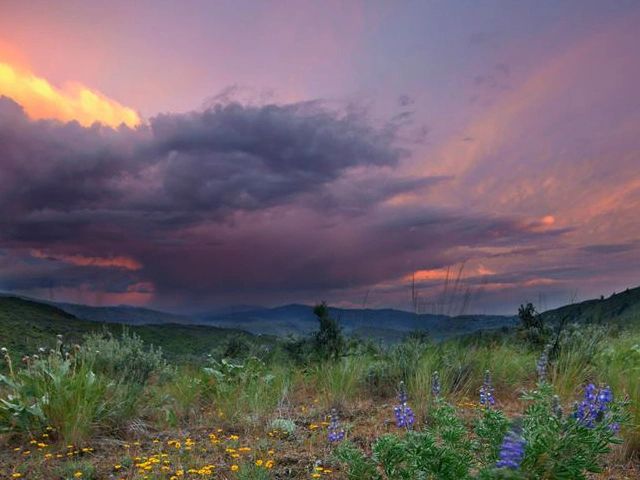 IMAGE COURTESY https://www.scenicwa.com/poi/okanogan-county-tourism-council 