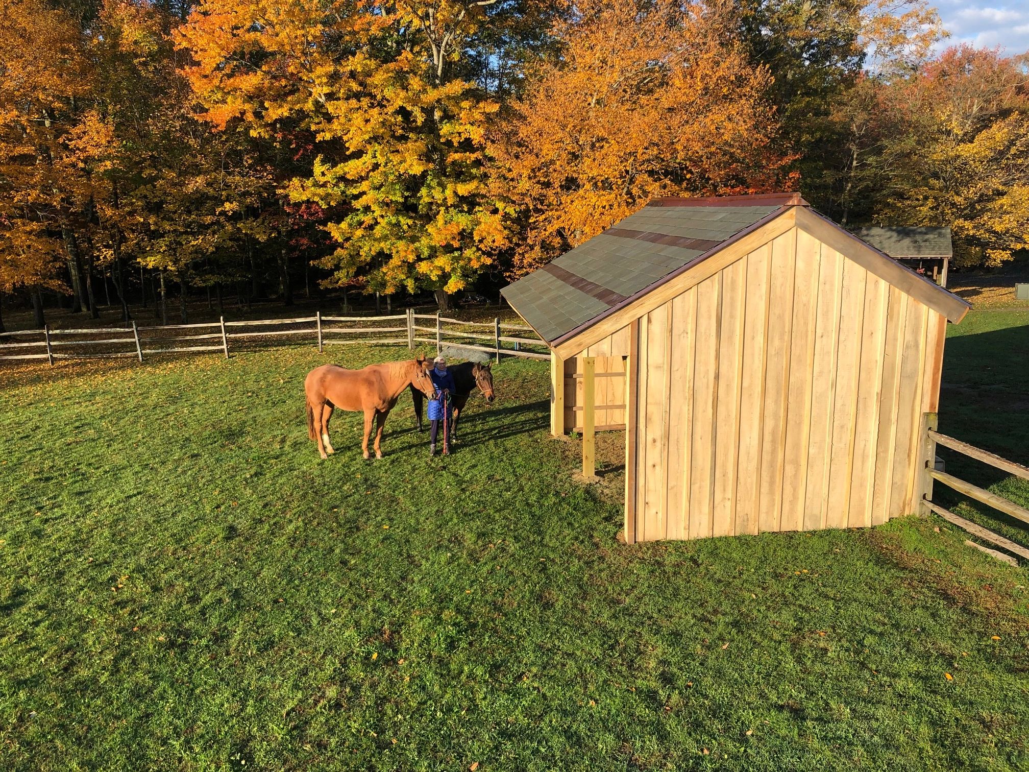 Horse shed in Sea Green with purple accents and copper ridge cap